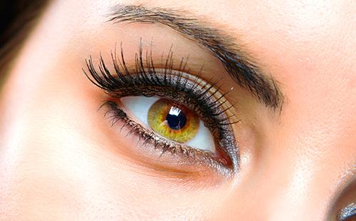 Eye like a whole world