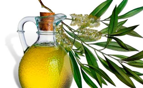 Tea tree oil in a glass bottle