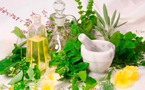 Herbs for Gum Treatment