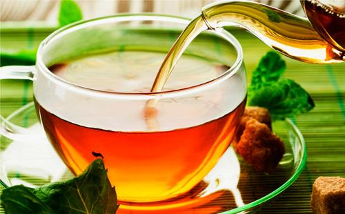 Herbal infusion in a glass cup