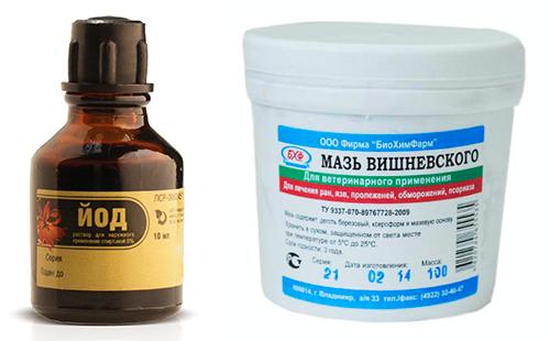 Such ointments should be in every home