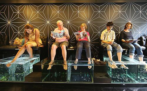 Fish peeling in the salon