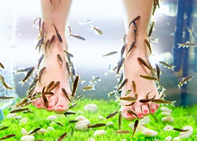 Fish pedicure