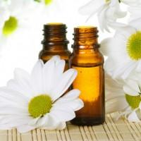 Bubbles with glycerin among white daisies