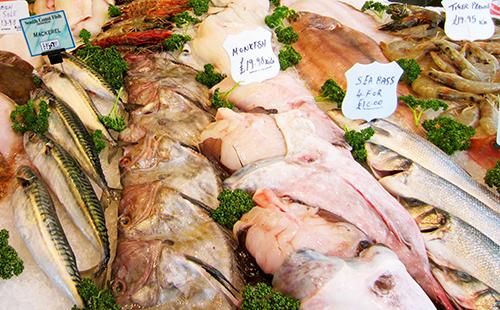 Fish counters delight in abundance