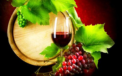 Glass of red wine on a background of a barrel and grape leaves.