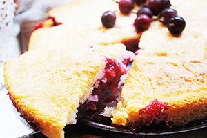 Charlotte with black currant