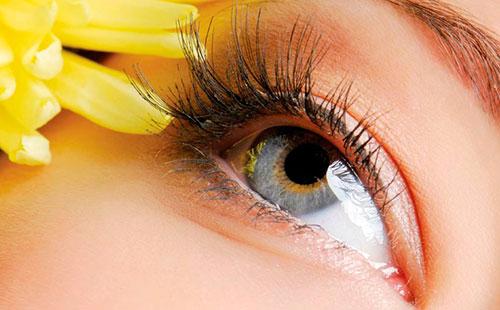 Eye and eyelashes