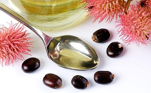 Castor oil and seeds