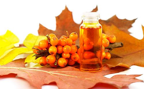 Sea buckthorn berries and oil