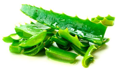 Aloe slices
