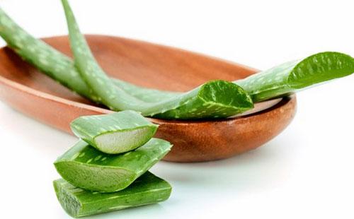 Aloe on a plate