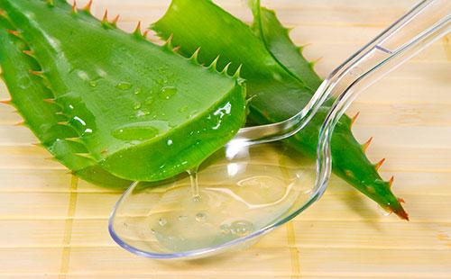Aloe juice on a spoon