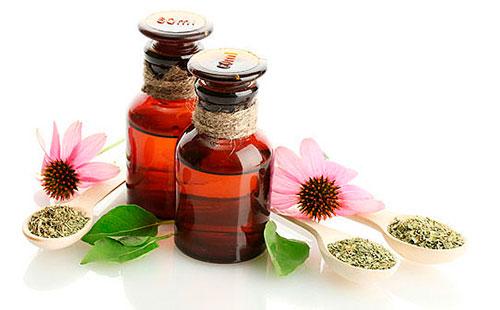 Echinacea Bottles