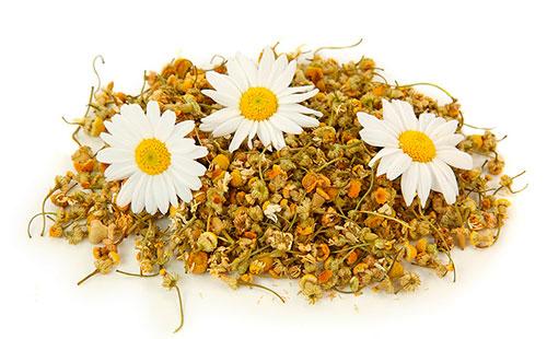 Dry chamomile flowers