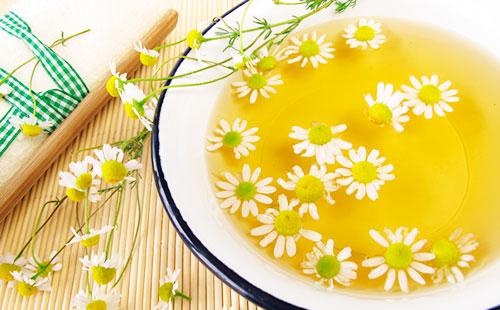 Chamomile decoction