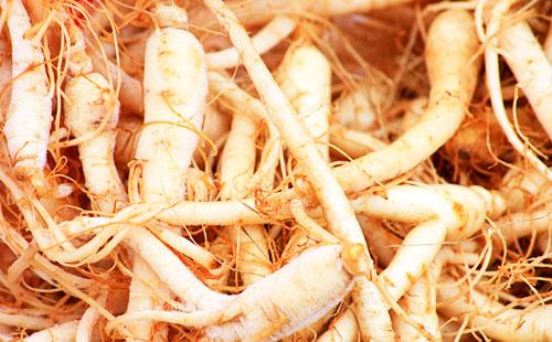 Ginseng roots