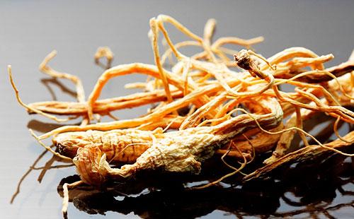 Ginseng root