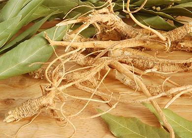 Ginseng root