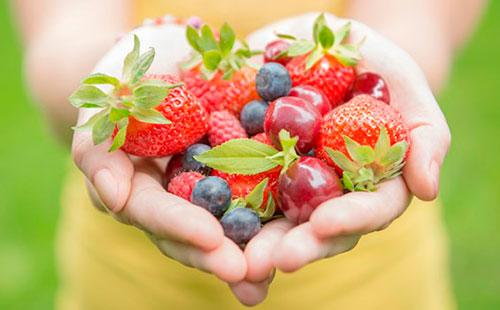 Berries in the hands