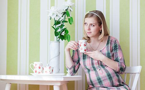 Pregnant drinks chicory