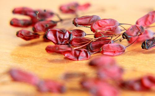 Dried Barberry