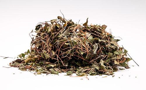 Dried Pine Roots and Leaves