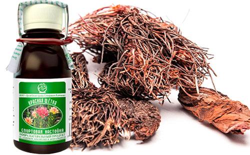 Roots and tincture of a red brush