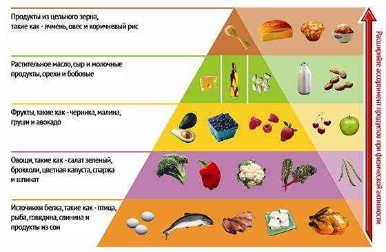Food pyramid