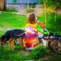 Puppy tenderness on the grass