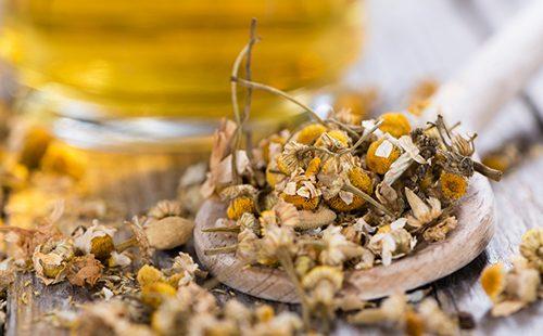 Serving of dry chamomile in a spoon