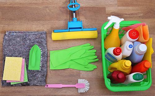 Mop, mittens and detergents