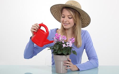 Girl watering cyclomene