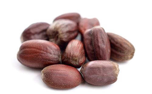 Jojoba seeds