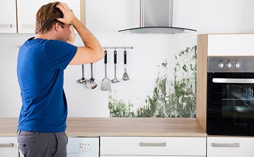 A man found mold in the kitchen