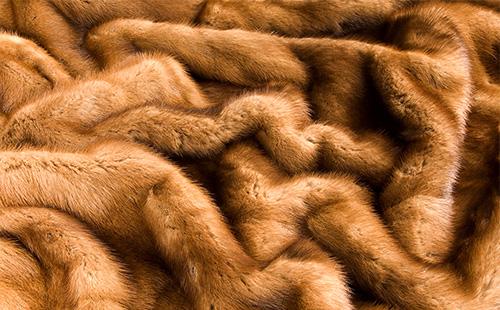 Brown mink fur