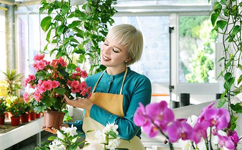 Girl admires begonia
