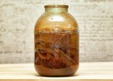 Large can of tea mushroom