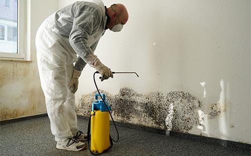Mold wall treatment