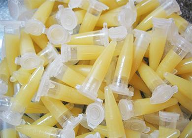 Baled cytokinin paste