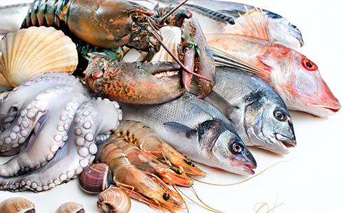 Fresh catch of marine life