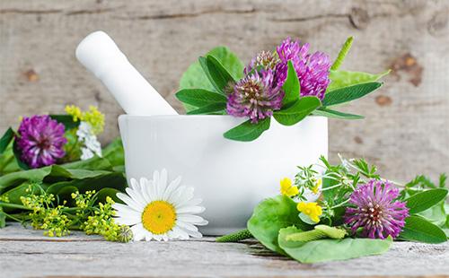 Medicinal herbs for hair