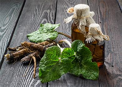 The roots and leaves of burdock