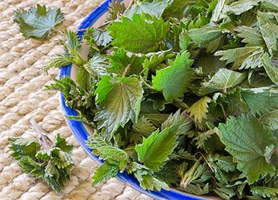 Nettle leaves