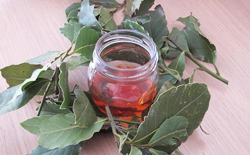 Bay leaf infusion