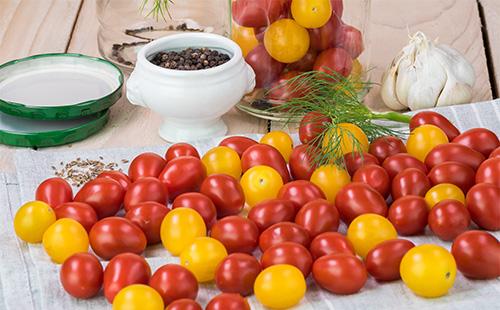 Red and yellow tomatoes on the table