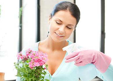 Woman spraying a flower in a pot