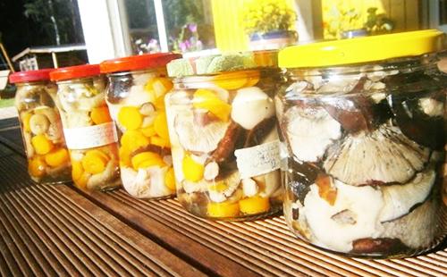 Jars of Mushrooms