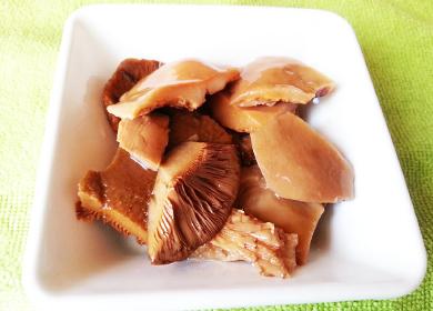 Salted russula in a plate
