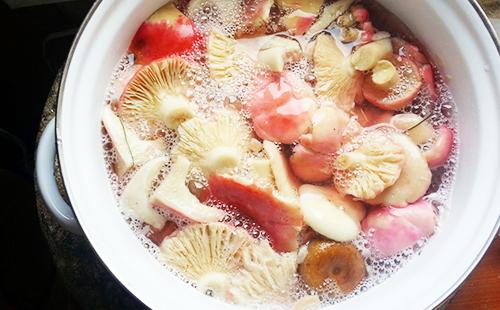 Russula soaked in water